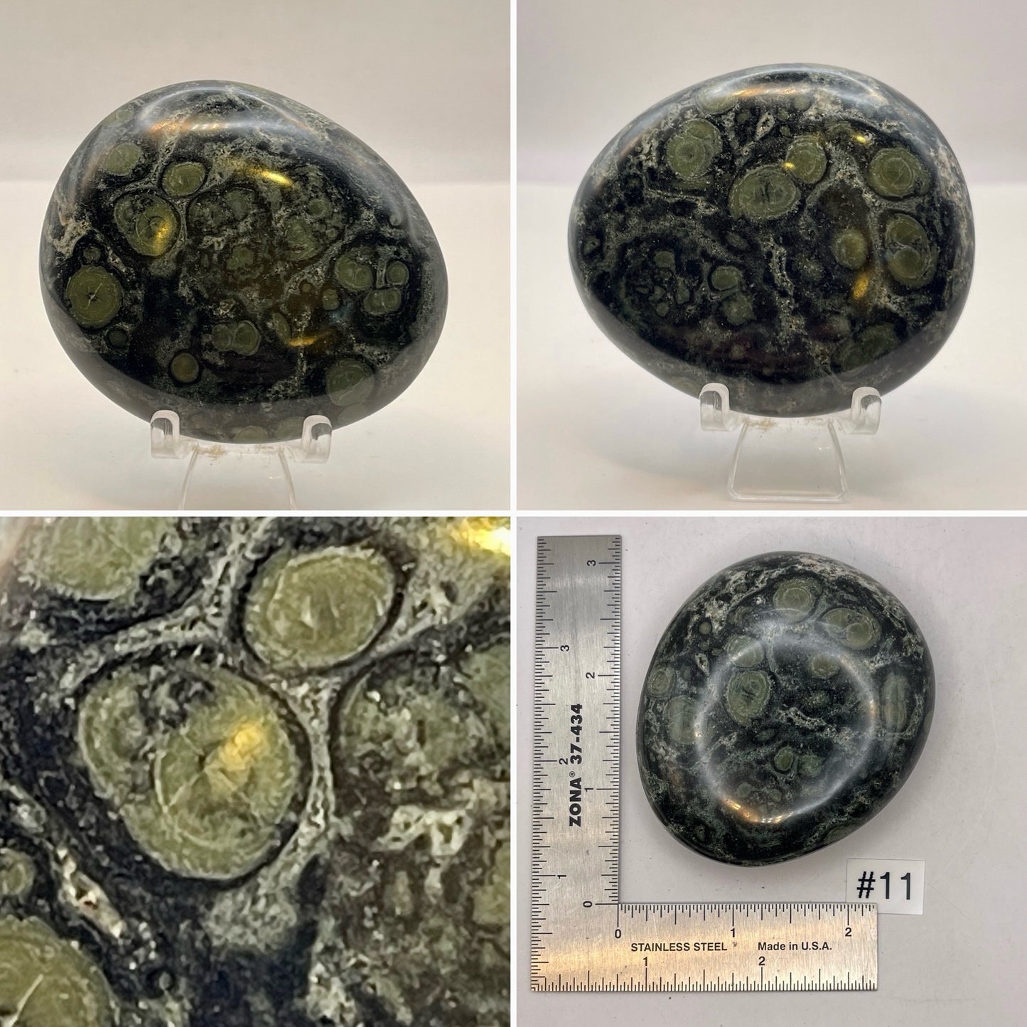 Kambaba Jasper Palmstone