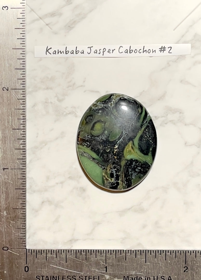 Kambaba Jasper Cabochon