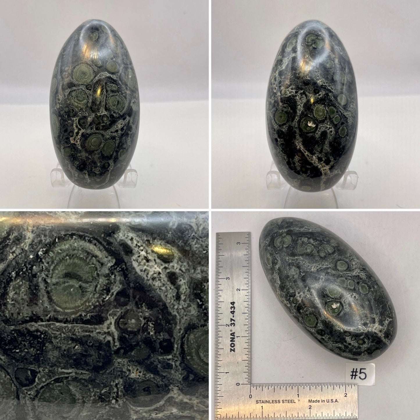 Kambaba Jasper Palmstone